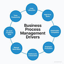 domain management automation