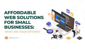 Affordable Web Solution